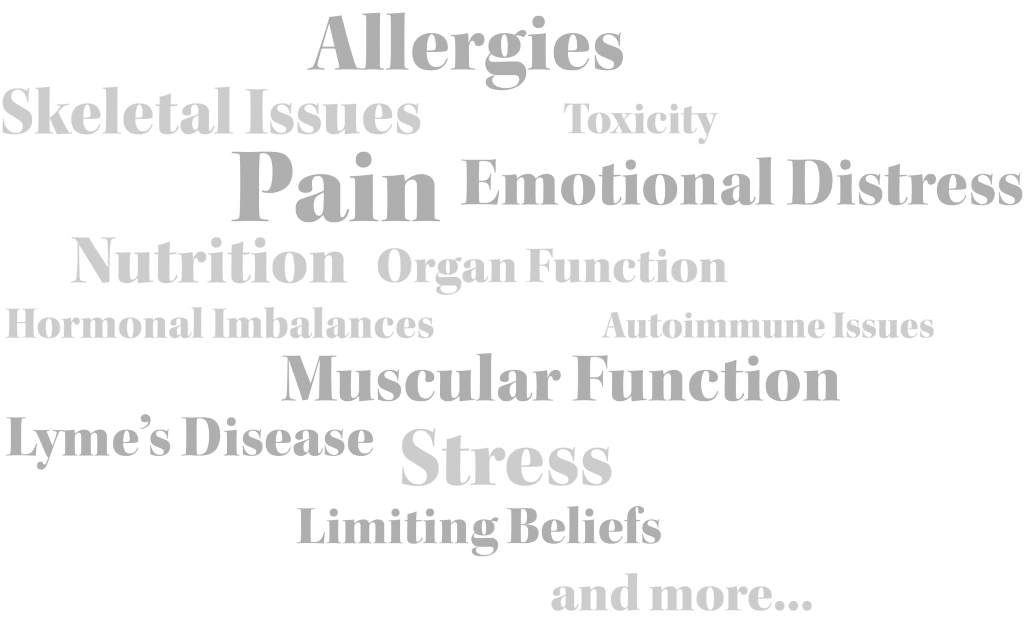 Allergies, Skeletal Issues, Toxicity, Pain, Emotional Distress, Nutrition, Organ Function, Hormonal Imbalances, Autoimmune Issues, Muscular Function, Lyme's Disease, Stress, Limiting Beliefs, and more...